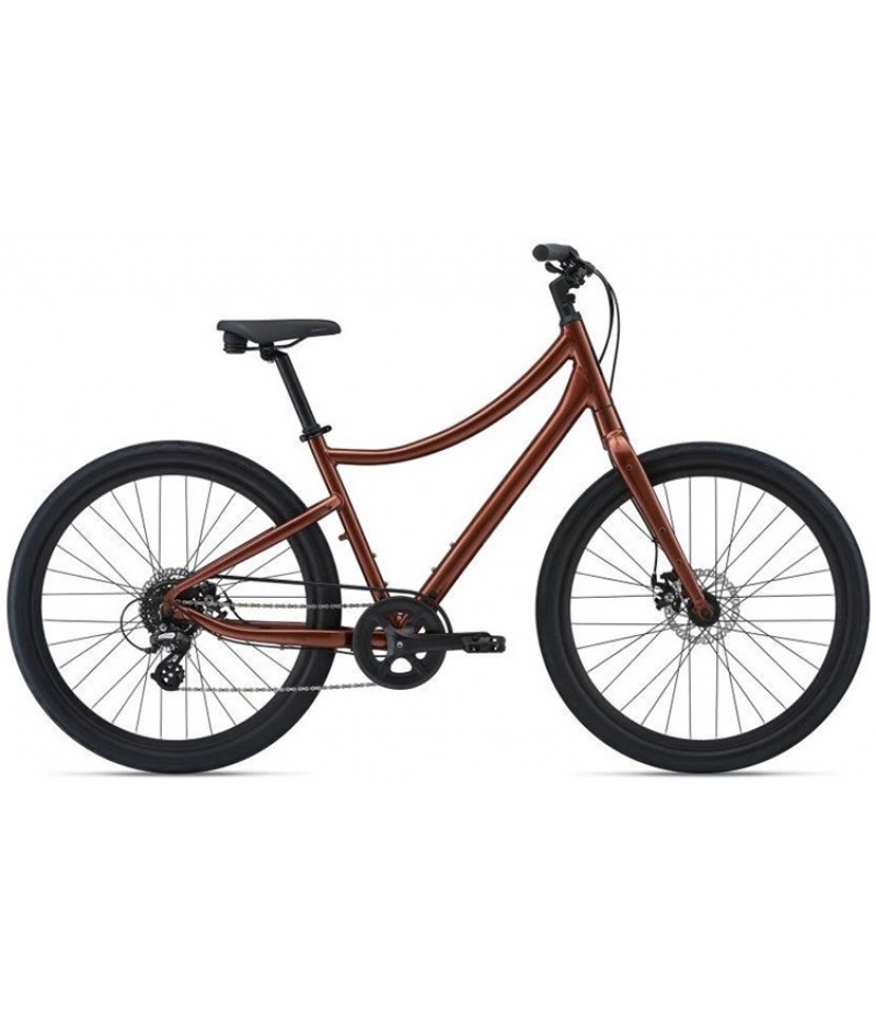 2021 Momentum Vida - Copper