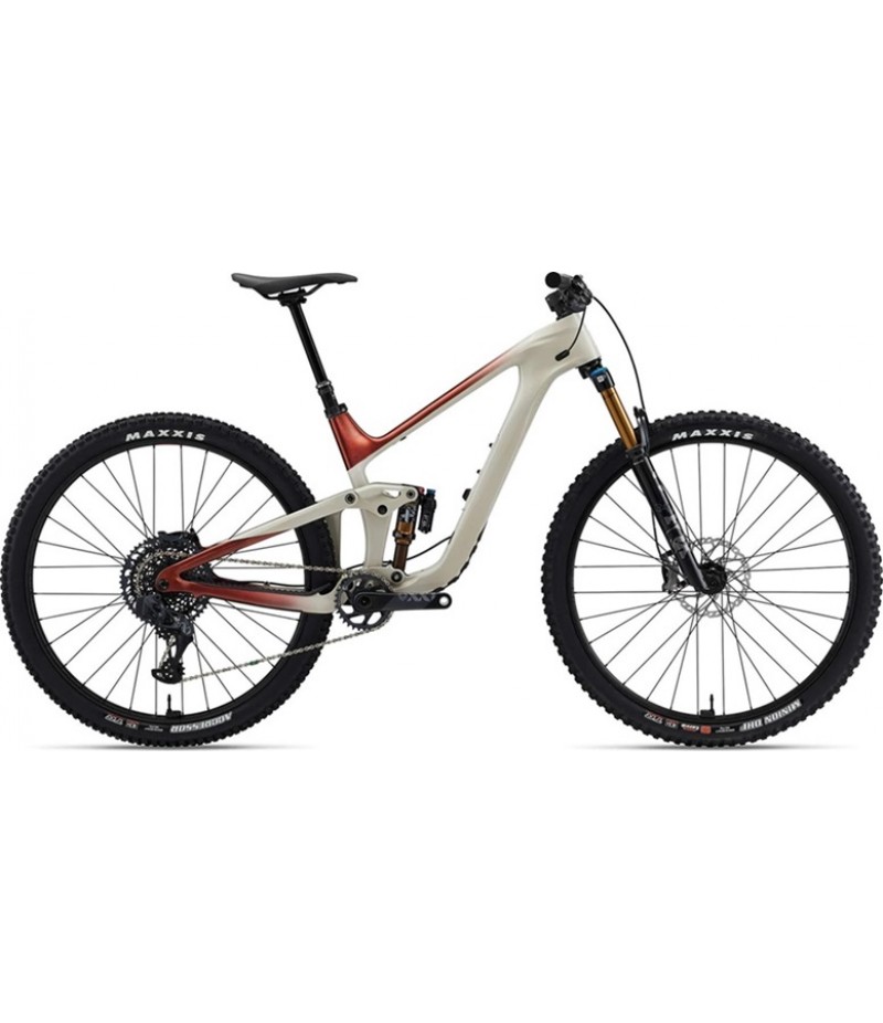 2022 Giant Trance Advanced Pro 29 0 - Pulp Gray/Terracotta/Black Chrome