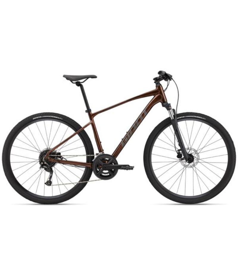 Giant Roam 2 Disc - Hematite