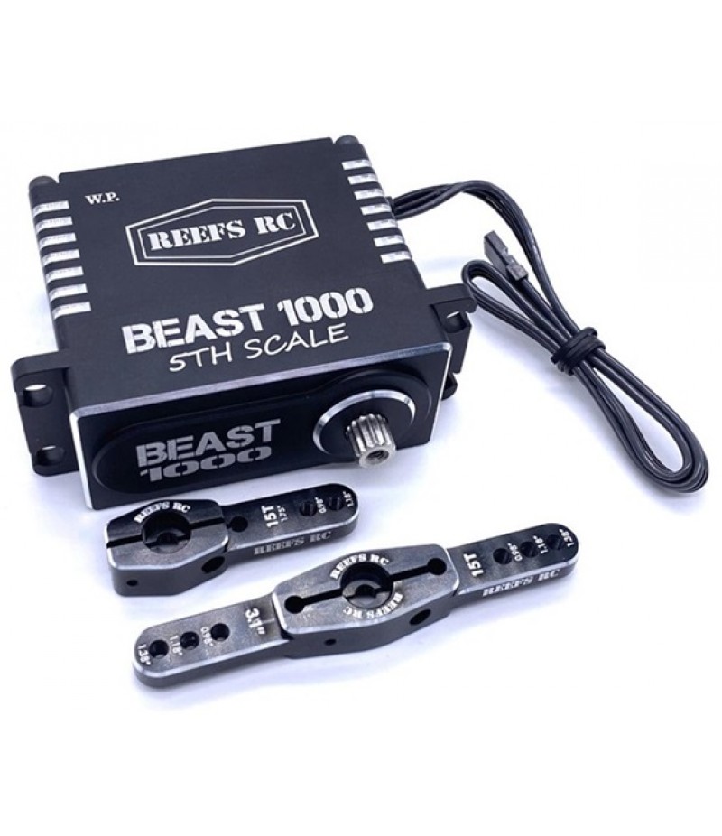 Reef's RC Beast 1000 1/5th Scale HT High Speed Servo w/ Horn