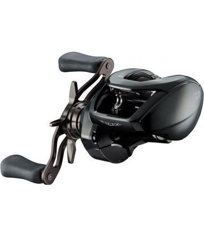 Daiwa 24 Steez SV TW 100H (Right handed)