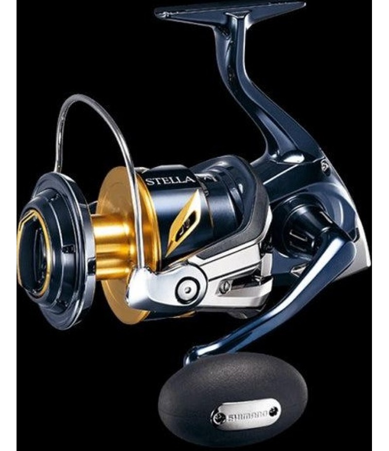 Shimano 19 Stella SW 10000PG